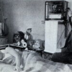 Vienus labiausiai šokiruojamų eksperimentų istorijoje mokslininkai atliko su savimi. Kokių pasekmių galima tikėtis iš tokių šiurpą keliančių bandymų?