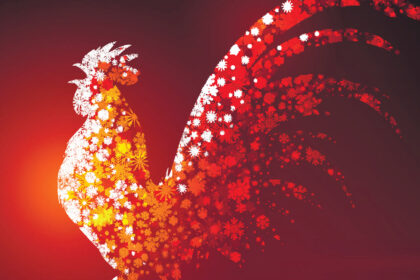 Nors Naujuosius jau kadaise pasitikome, atšventėme ir pamiršome, pagal kinų kalendorių 2017-ieji prasidėjo tik dabar, sausio 28 dieną, ir baigsis kitų metų vasario 15-ąją.