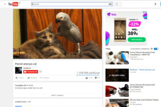 Geležinė kantrybė: papūga, iš proto išvesianti net kantriausią