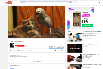 Geležinė kantrybė: papūga, iš proto išvesianti net kantriausią