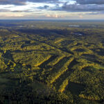 Dar prieš kelis šimtmečius Lietuvos miškai atrodė kiek kitaip – juose knibždėte knibždėjo gyvūnų, kuriuos dabar dažniau išvysi nelaisvėje.