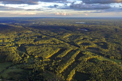 Dar prieš kelis šimtmečius Lietuvos miškai atrodė kiek kitaip – juose knibždėte knibždėjo gyvūnų, kuriuos dabar dažniau išvysi nelaisvėje.