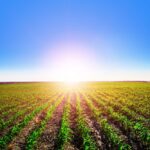 Ekstremalūs orų pokyčiai, kai vienus kraštus skandina potvyniai, o kitus kepina nebūdingas atogrąžų karštis, pamažu tampa kasdienybe. Apie tai, kur link suka gamta ir ko iš jos galima tikėtis artimiausiu metu, klausėme Lietuvos hidrometeorologijos tarnybos Tyrimų ir plėtros skyriaus vyresniosios klimatologės Viktorijos MAČIULYTĖS.