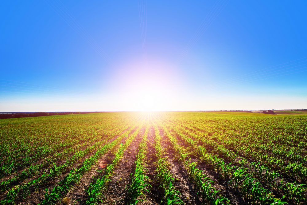 Ekstremalūs orų pokyčiai, kai vienus kraštus skandina potvyniai, o kitus kepina nebūdingas atogrąžų karštis, pamažu tampa kasdienybe. Apie tai, kur link suka gamta ir ko iš jos galima tikėtis artimiausiu metu, klausėme Lietuvos hidrometeorologijos tarnybos Tyrimų ir plėtros skyriaus vyresniosios klimatologės Viktorijos MAČIULYTĖS.