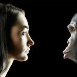 Evoliucionizmas šiandien – pagrindinė biologijos teorija, bet prieš 160 metų, kai Čarlzas Darvinas paskelbė savo darbą apie rūšių kilmę, ji tebuvo tik hipotezė – ir dar ne itin tinkama aptarinėti padorioje draugijoje.