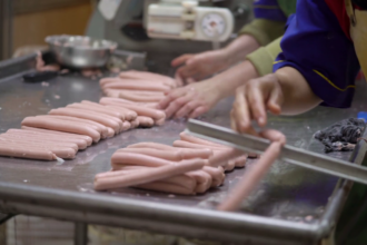 Maisto klastojimas – rimta problema visame pasaulyje. Pasaulio prekybos organizacija yra suskaičiavusi, kad per metus tokia veikla pasaulio ekonomikai padaroma žala siekia kone 50 mln. eurų.