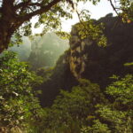 E. BAJERČIAUS ASMENINIO ARCHYVO nuotraukos