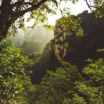 E. BAJERČIAUS ASMENINIO ARCHYVO nuotraukos