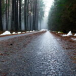 E. BAJERČIAUS ASMENINIO ARCHYVO nuotraukos