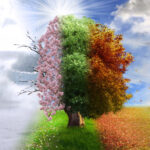 Jeigu ne mūsų svirduliuojanti planeta, neturėtume keturių skirtingų sezonų. O be jų nebūtų ir tokios gyvūnų įvairovės, stulbinančios savo gebėjimu prisitaikyti nuolat besikeičiančioje gamtoje – kaip, pavyzdžiui, bitės ar dvikvėpės žuvys.