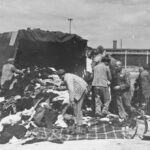 Holokaustas sunaikino ne tik ištisas žydų bendruomenes, bet ir jų materialinį palikimą, kartu su tauta siekiant ištrinti ir jos istoriją.