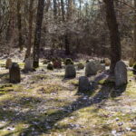 Jau ne vienerius metus savanoriai tvarko ir dokumentuoja senąsias žydų kapines – sparčiai nykstančią Lietuvos istorijos dalį.