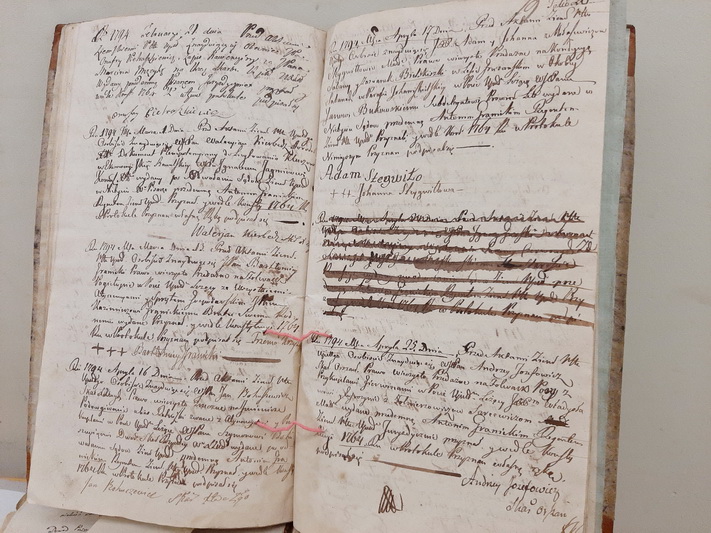 Senosios bažnytinės knygos mirga įrašais įvairiomis kalbomis. Ir dažnos jų prabyla tik į tuos, kurie žino, kaip ir ko jose ieškoti. N. ČEŠKEVIČIŪTĖS nuotr.