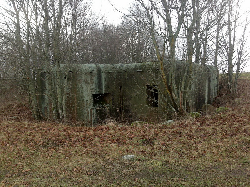 Molotovo linijos bunkeriai Lietuvoje. ARCHYVŲ nuotr.