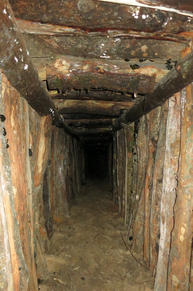 Bunkeris Žaliojoje girioje. D. JUODŽIO nuotr.