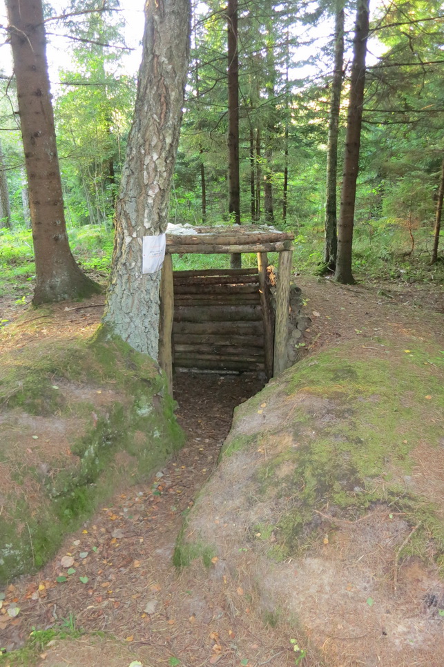 Pokario kovos su okupantais buvo nelygios: kol partizanai gynėsi miškų stovyklose, sovietai galėjo pritraukti didžiules pajėgas, ginkluotę. (Fotografijoje – partizanų stovyklos Pašilių miške fragmentas.) D. JUODŽIO nuotr.