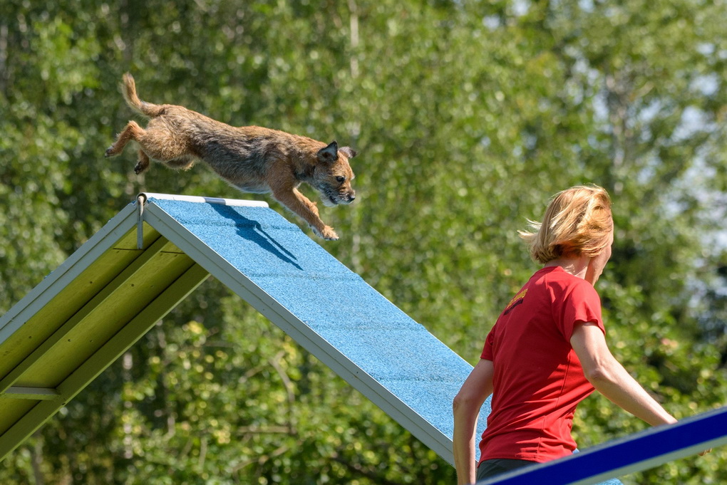 ASMENINIO ALBUMO nuotr.