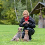 Kiek daug žmogui gali reikšti keturkojai augintiniai ir kiek meilės jiems širdyje įmanoma turėti puikiai iliustruoja jau dvidešimtmetį save panevėžiete vadinančios Jūratės Miliūnaitės gyvenimo istorija.