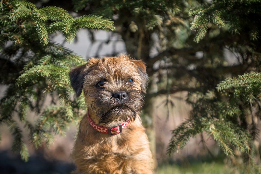 G. KARALIŪNAITĖS nuotr.