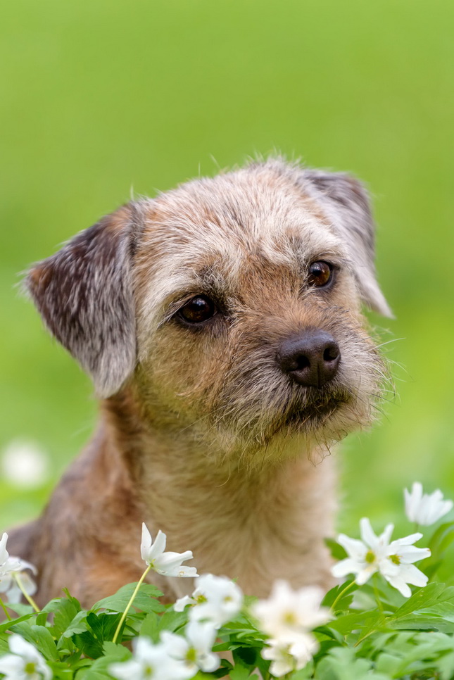 G. KARALIŪNAITĖS nuotr.