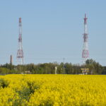 Laisvojo pasaulio radijo stočių transliacijos lietuvių kalba šaltojo karo metais jų slapta klausiusiesiems buvo tarsi gaivaus oro gurkšnis, padėjęs neužtrokšti dusinančiame sovietiniame „rojuje“.