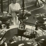 Pramonės miesto vardą sovietmečiu Panevėžiui davusieji tuometės valdžios sprendimai kartu nulėmė ir tai, jog miestas liko iš esmės lietuviškiausias šalyje. Tai buvo dovana, kurios niekas nesitikėjo ir greičiausiai niekas nepastebėjo.