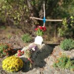 Iki karo Balaklėjoje buvo įsikūrę dvidešimt septyni tūkstančiai gyventojų. Dabar jų – bent keturis penkis kartus mažiau.