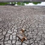 Ar turės ką gerti ateinančios europiečių, taip pat ir lietuvių, kartos? Padėtis pasirodė dar blogesnė, nei tikėtasi.