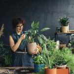 Kokie augalai užtikrina namų jaukumą, meilę ir džiaugsmą šeimoje ir saugo savo šeimininkus nuo negandų?