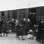 Sovietinis genocidas iš namų ir tėvynės išplėšė šimtus tūkstančių Lietuvos žmonių. Tremtis palietė visas čia gyvenusias tautas: Sibiro platybėse kartu su lietuviais atsidūrė žydai, lenkai, romai, taip pat rusai. Jų istorijos – dar vienas žiaurių sovietinių represijų prieš taikius gyventojus liudijimas.