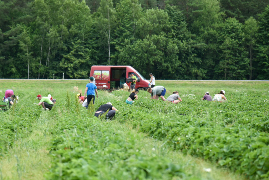 Artėjančios vasaros atostogos – ne tik galimybė jaunuoliams pailsėti nuo mokslų, bet ir užsidirbti. Tiek miesto, tiek ir rajono savivaldybės imasi tarpininko vaidmens jauniems žmonėms ir darbdaviams atrasti vienas kitą. Jos pasiryžusios padengti dalį tokių laikinų darbuotojų atlyginimo.