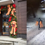 Panevėžyje, J. Basanavičiaus gatvėje esančios kepyklėlės duris puošusių meškinų vagiui didesnę nei policija gėdą padarė jo mylimosios mama.