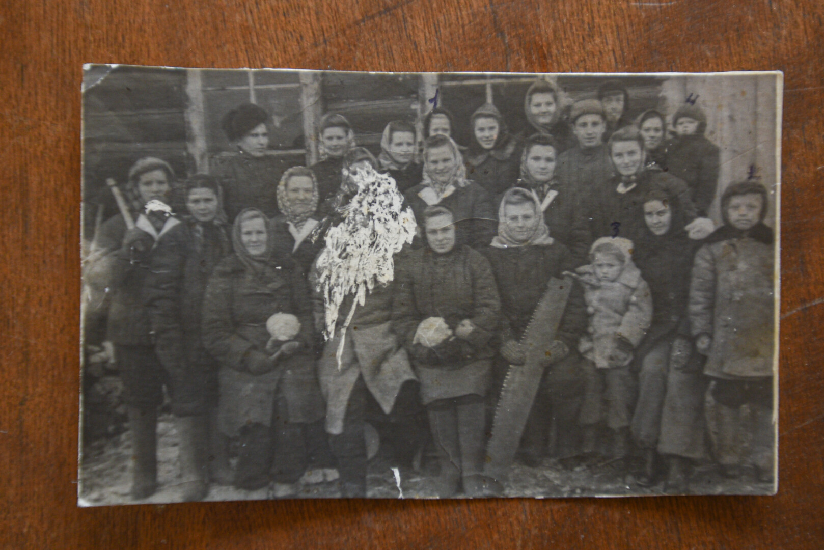 ASMENINIO ALBUMO nuotr.