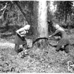 Žmonės, kūrę ir statę nepriklausomą Lietuvą, 1940-aisiais staiga tapo „liaudies priešais“. Sužaloti likimai, pasmerkti gyvenimai, ištisų šeimų ir giminių tragedijos – visa tai atnešė sovietų okupacija.