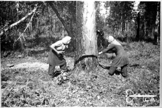 Žmonės, kūrę ir statę nepriklausomą Lietuvą, 1940-aisiais staiga tapo „liaudies priešais“. Sužaloti likimai, pasmerkti gyvenimai, ištisų šeimų ir giminių tragedijos – visa tai atnešė sovietų okupacija.