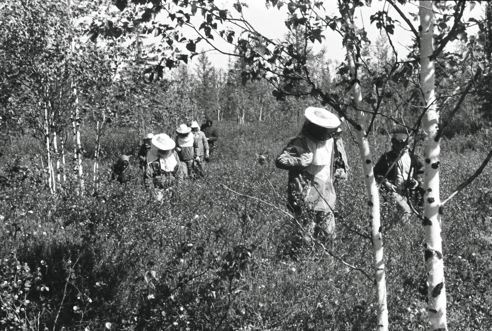 Jono Jaručio prisiminimais, ekspedicijos dalyvių Igarkoje laukęs darbas buvo tiek fiziškai, tiek psichologiškai sunkus. J. JARUČIO nuotr.