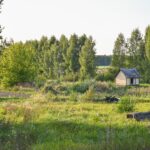 Po gerų metų Panevėžio rajone, tarp Šilagalio ir Šilaičų kapinių, turėtų iškilti krematoriumas. Visgi šilagališkiai pasiruošę gulti skersai kelio, kad jų namų pašonėje tokio objekto nebūtų.