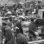 Gulago lagerių kaliniai – tarp jų ir dešimtys tūkstančių lietuvių – buvo kalinami nežmoniškomis sąlygomis: gyveno pusbadžiu, buvo alinami sunkaus darbo ir dažnai neturėjo vilties grįžti į gimtinę.