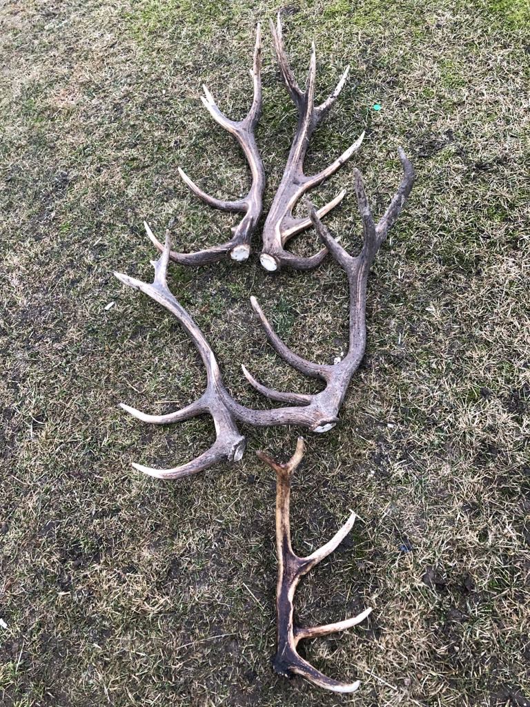 L. JAGMINO ASMENINIO ARCHYVO nuotr.