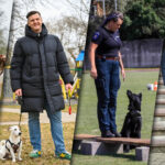 Vis daugiau prekybos centrų, parduotuvių, kavinių, bibliotekų, kitų viešųjų vietų atveriamos naminiams gyvūnams. Ne išimtis ir Panevėžys, tampantis jiems vis draugiškesniu miestu.