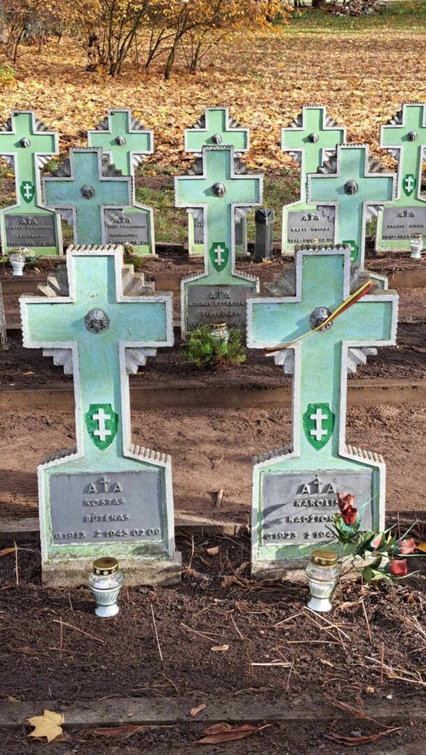 Lietuvos kario kryžiai 1945 metų vasario 9-ąją Juodgirio mūšyje žuvusiems Šarūno rinktinės Šarūno, Ąžuolo ir Žaibo būrių, Butageidžio kuopos Tigro būrio partizanams. Anykščių rajono Traupio seniūnijos Klaibūnų kaimas. D. JUZĖNO nuotr. 