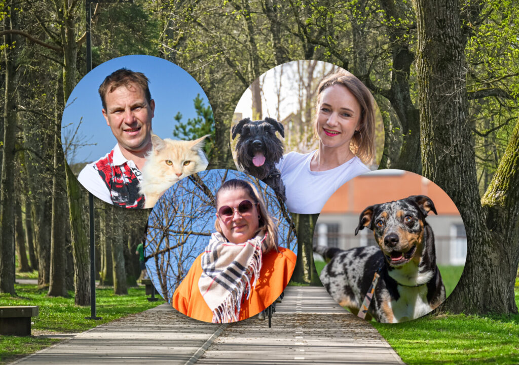 Turbūt kiekvienas pritars, kad augintinis namuose suteikia daug meilės, džiaugsmo ir gerų emocijų.